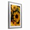 Stupell Industries Bunches of Garden Sunflowers Framed Print Under Glass, design by Kim Allen